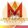 APEX MOGULS GROUP INC.